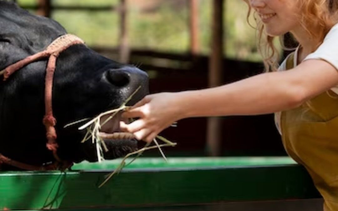 Supplements for Livestock