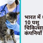भारत में शीर्ष 10 पशु चिकित्सा कंपनियाँ
