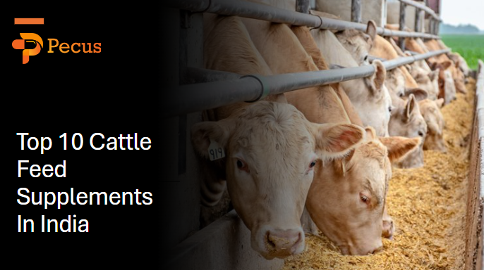 Top 10 Cattle Feed Supplements In India