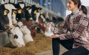 How to Choose Right Calcium Supplements for Cows