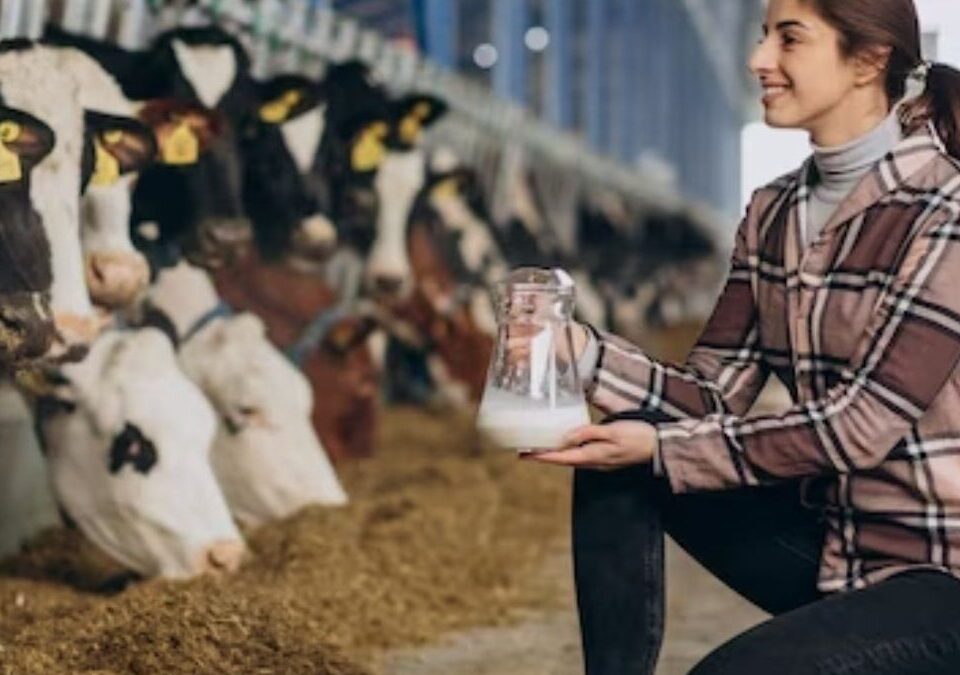 How to Choose Right Calcium Supplements for Cows