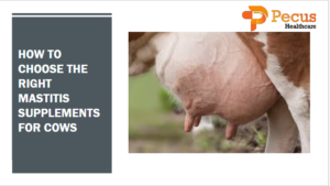 How to Choose The Right Mastitis Supplements for Cows