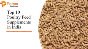 Top 10 Poultry Feed Supplements in India