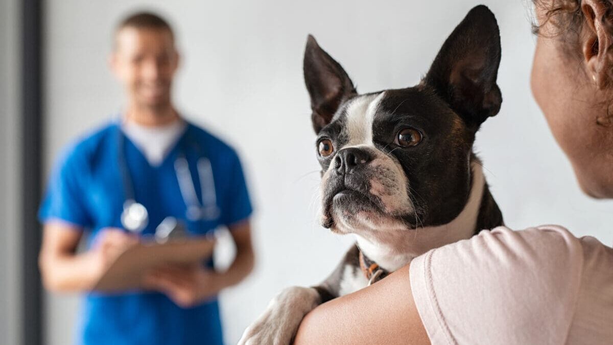 Top 10 Veterinary Distributors in Kolkata