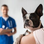 Top 10 Veterinary Distributors in Kolkata