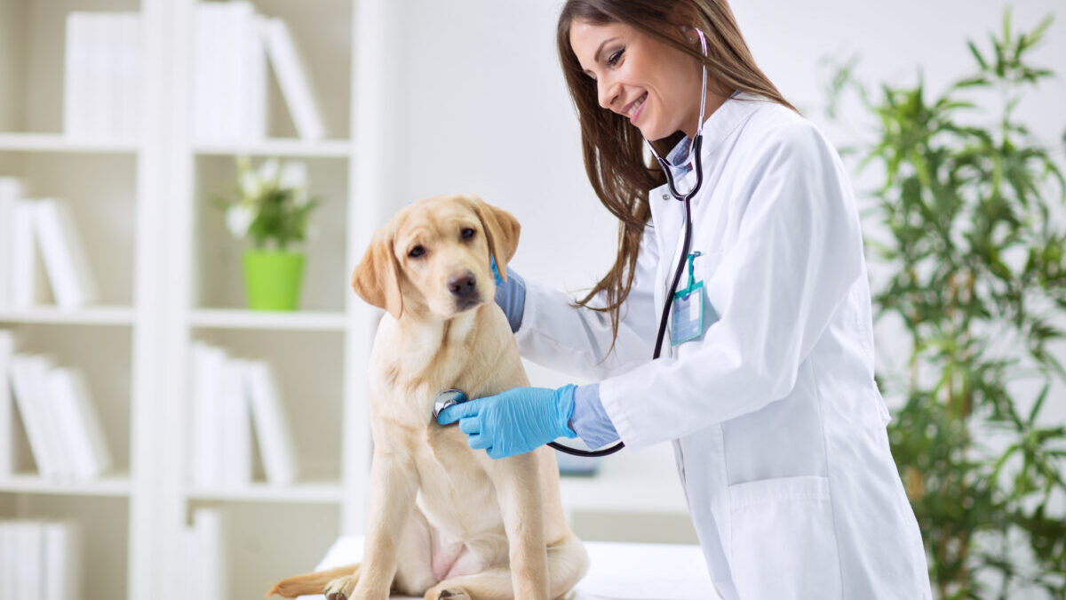 Top 10 Veterinary Distributors in Kerala