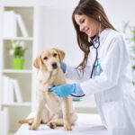 Top 10 Veterinary Distributors in Kerala